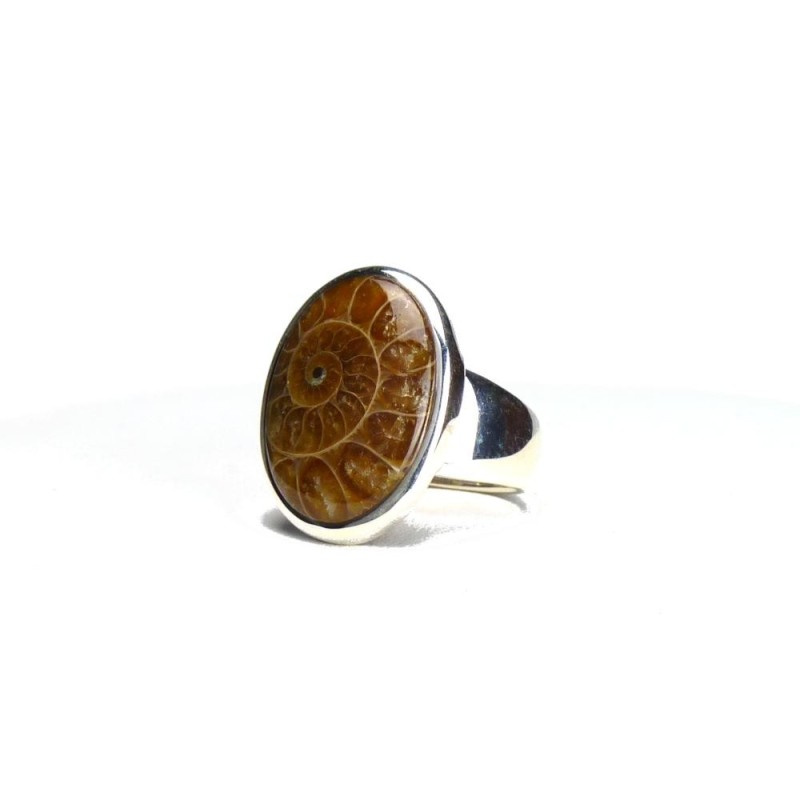 Bague ovale en ammonite