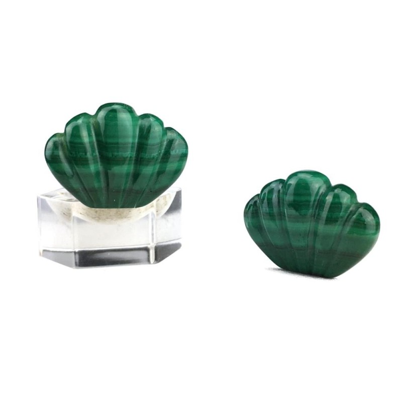 Clips coquille en malachite